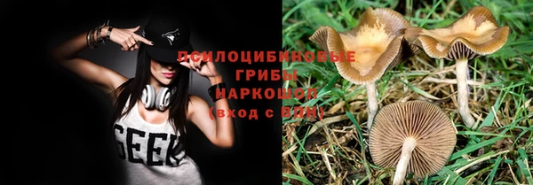 мескалин Белокуриха