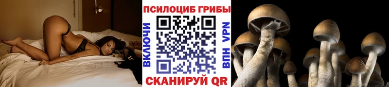 купить   Карпинск  Галлюциногенные грибы прущие грибы 